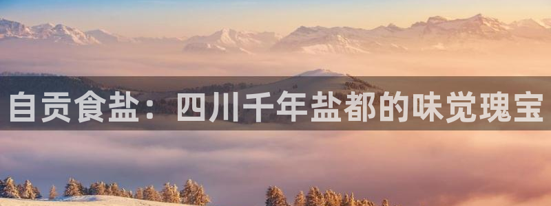 威九国际免费版