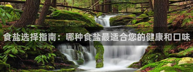 威九国际网站入口官网免费