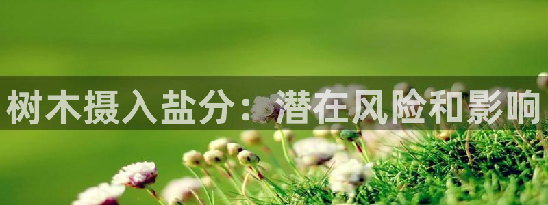 威九国际女演员好漂亮