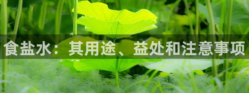 威九国际78ma
