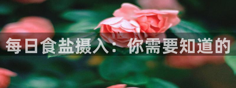 威九国际的金融服务