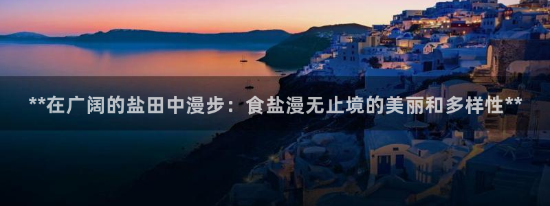 威九国际APP