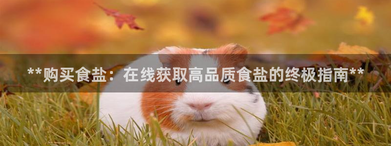 威九国际最近的视频