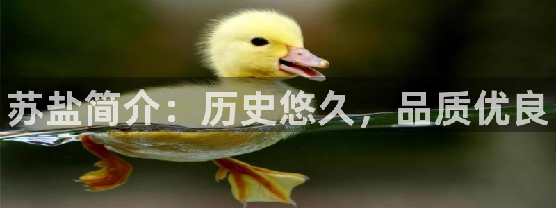 威九国际网站下载
