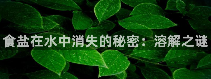 威九国际合作伙伴有哪些