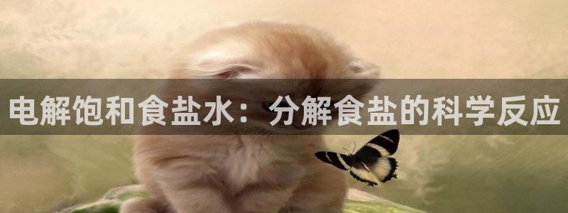 威九国际地址