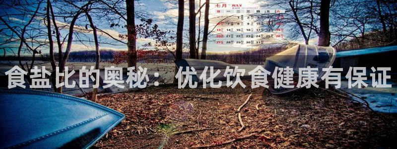 威九国际官网版