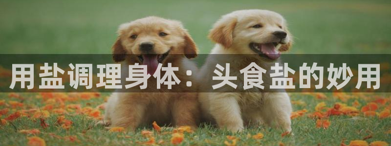 威九国际精免费下载