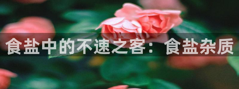威九国际网站经常打不开网页