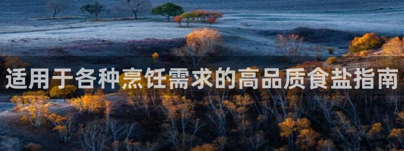 威九国际app