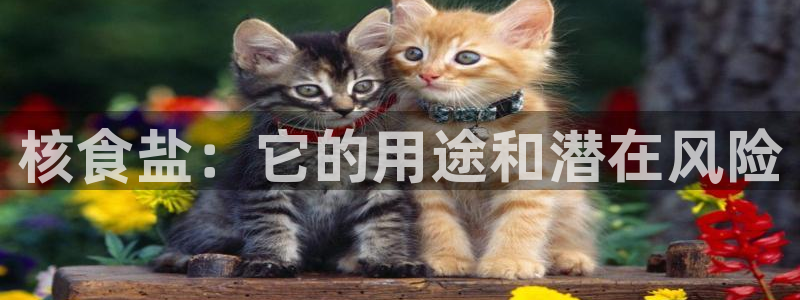 威九国际网站链接