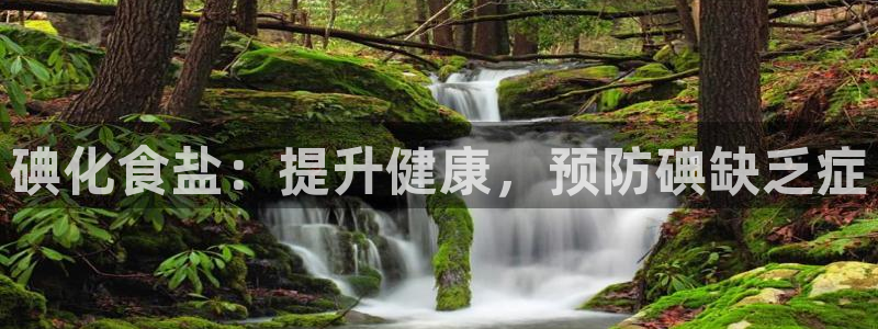 威九国际网站游戏