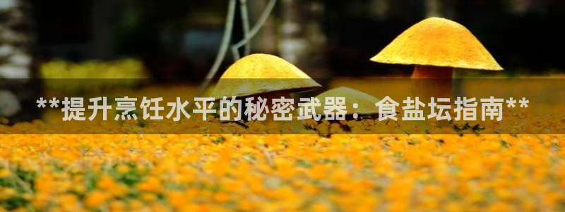 威九国际软件