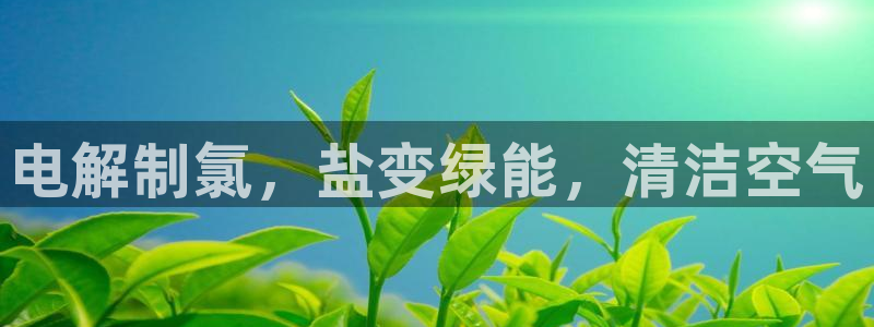 威九国际FT