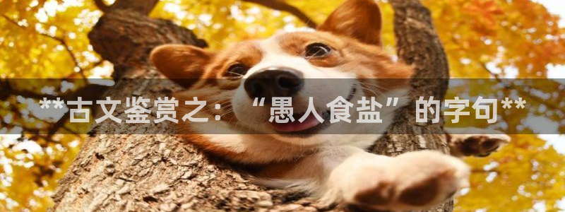 威九国际ft