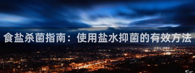 威九国际H