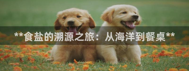 威九国际女孩