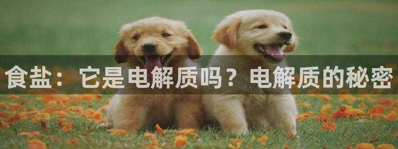 威九国际官方网站最新版本更新内容介绍