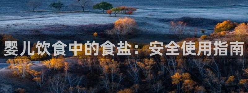 威九国际78mb