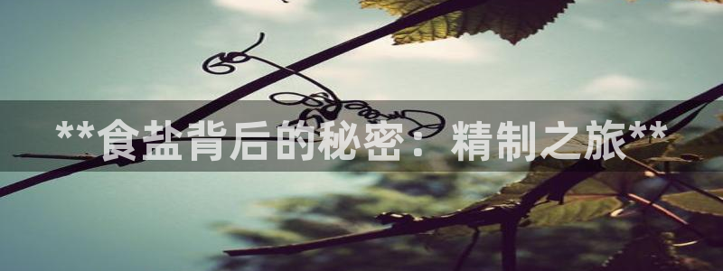 威九国际ppt免费下载