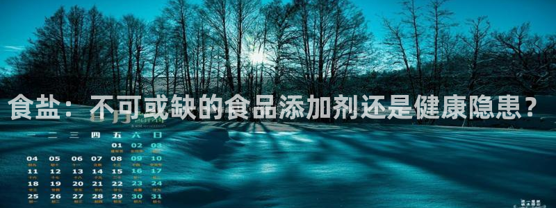 威九国际AN
