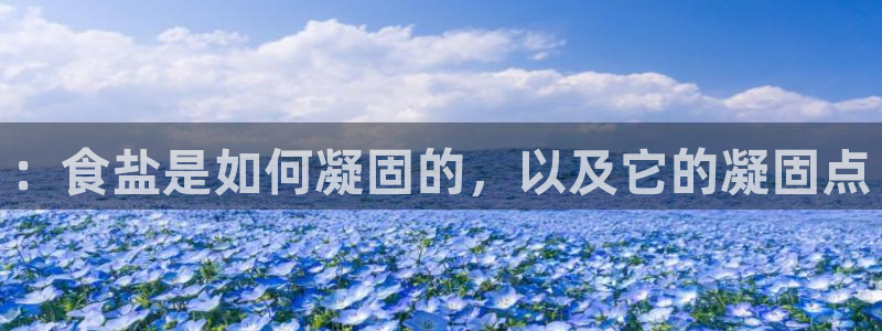 威九国际网站影视
