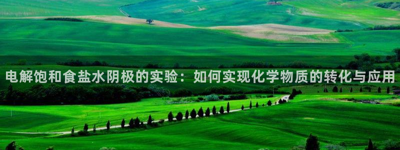 威九国际MM