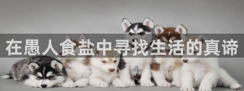威九国际成长模式