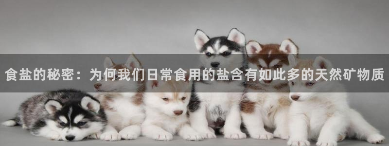 威九国际app网站