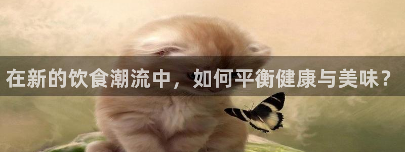 威九国际网站入口地址