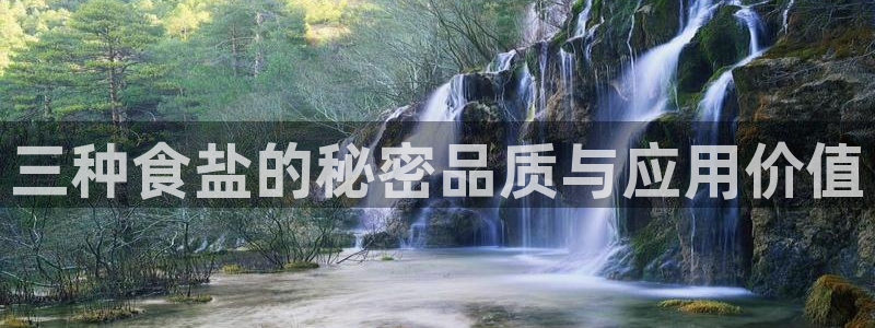 威九国际FF