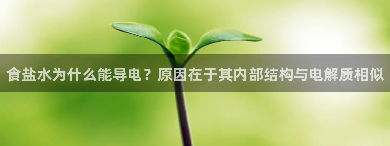 威九国际ppt免费吗