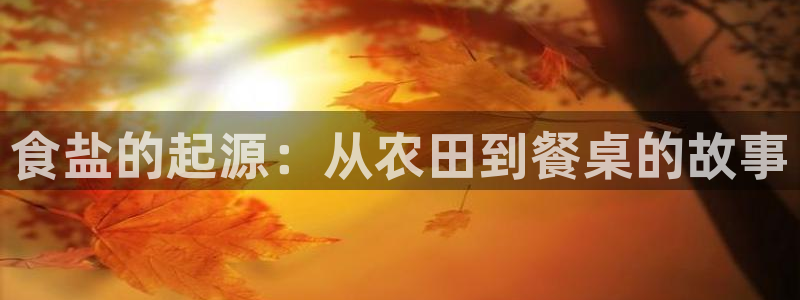 威九国际网站更新