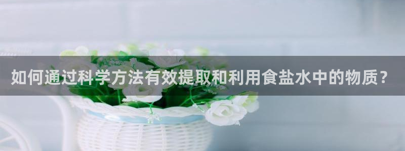 威九国际ppt官网