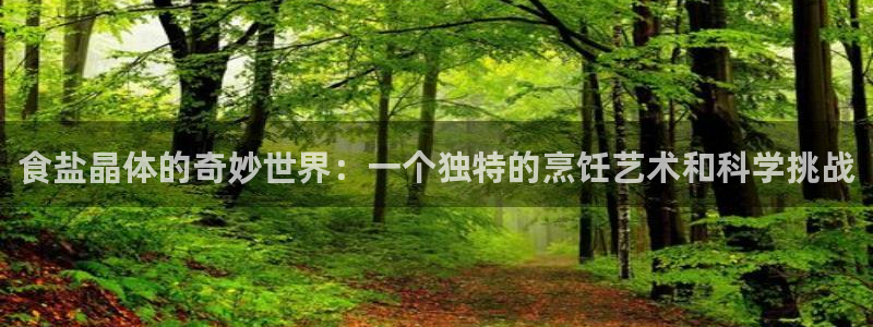 威九国际v9