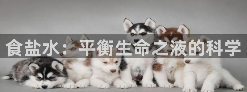 威九国际app网站