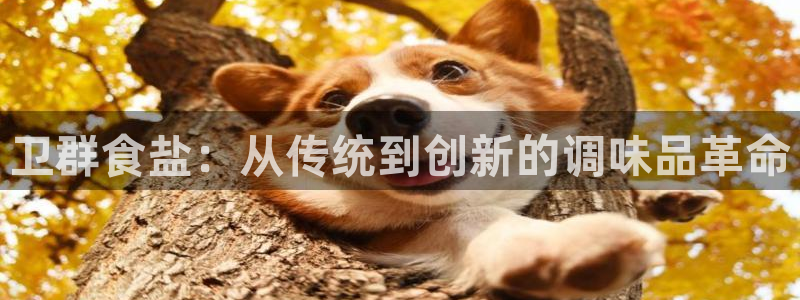 威九国际男演员