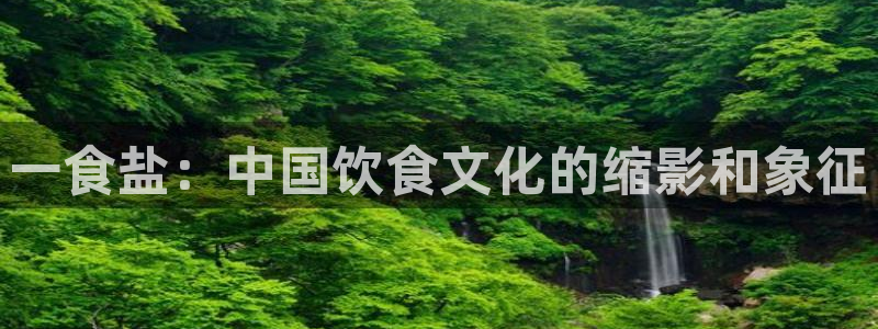威九国际旗下艺人