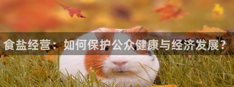 威九国际网站客服电话多少啊