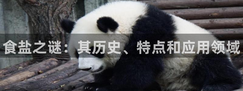 威九国际v96bet下载