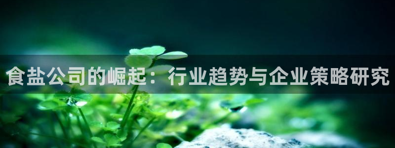 威九国际体育：食盐公司的崛起：行业趋势与企业策略研究