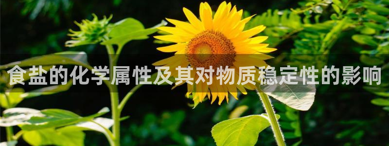 威九国际网页看视频弹窗的广告拦截插件
