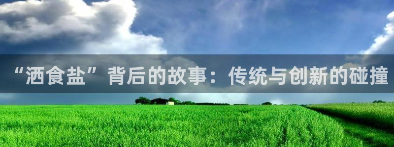 威九国际fX8x