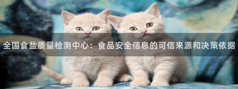 威九国际网站入口官网首页