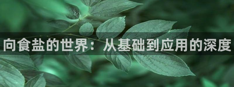 威九国际78mob游戏亮点