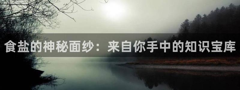 威九国际软件