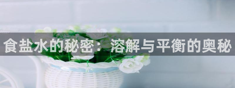 威九国际的女主