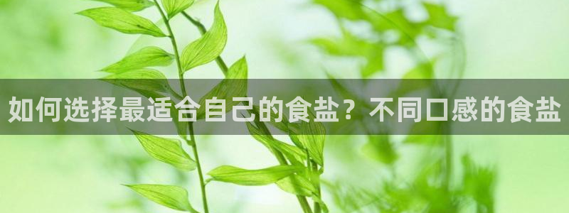 威九国际韩国