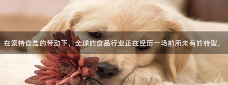 威九国际特殊奖励