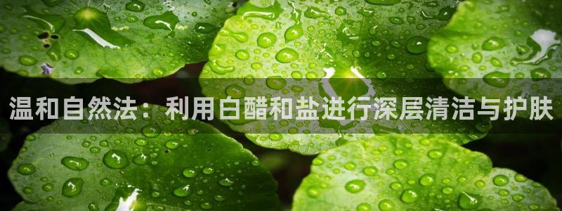 威九国际mv：温和自然法：利用白醋和盐进行深层清洁与护肤